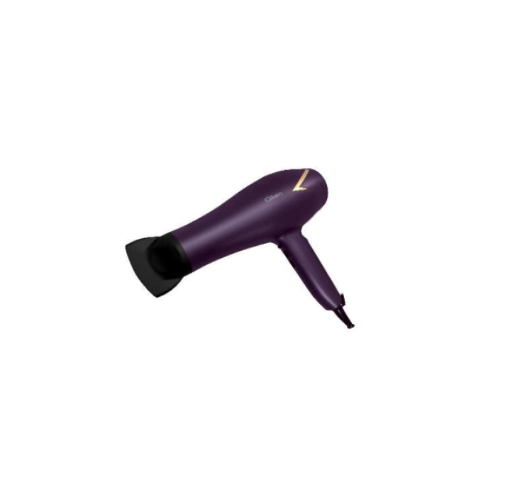 Professional Hair Dryer -2000W - CK3309