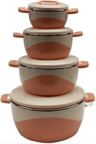 4 Pieces Insulated Hot Pot Dishes Food Container Casseroles - Multi-colour