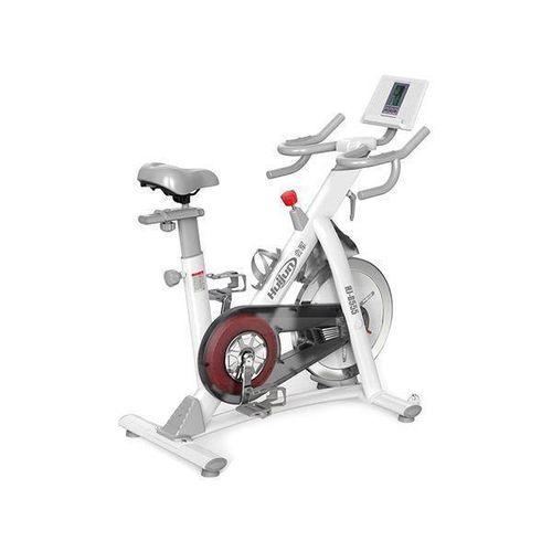 Exercise Bike, Stationary Bike for Home with Magnetic Resistance 350 LBS Weight Capacity Comfortable Seat Cushion Workout Bike, Spin Bike with Cardio Training for Home and Office