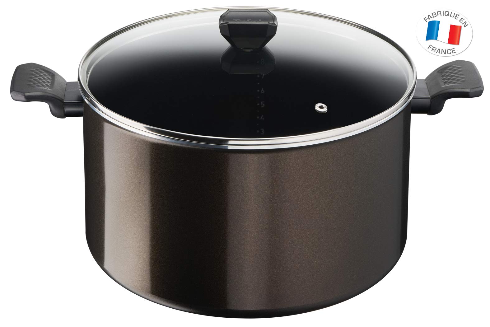 Tefal Easy Cook & Clean B5546902 30 CM Non-Stick Cooking Pot with Lid Suitable for All Heat Sources Except Induction