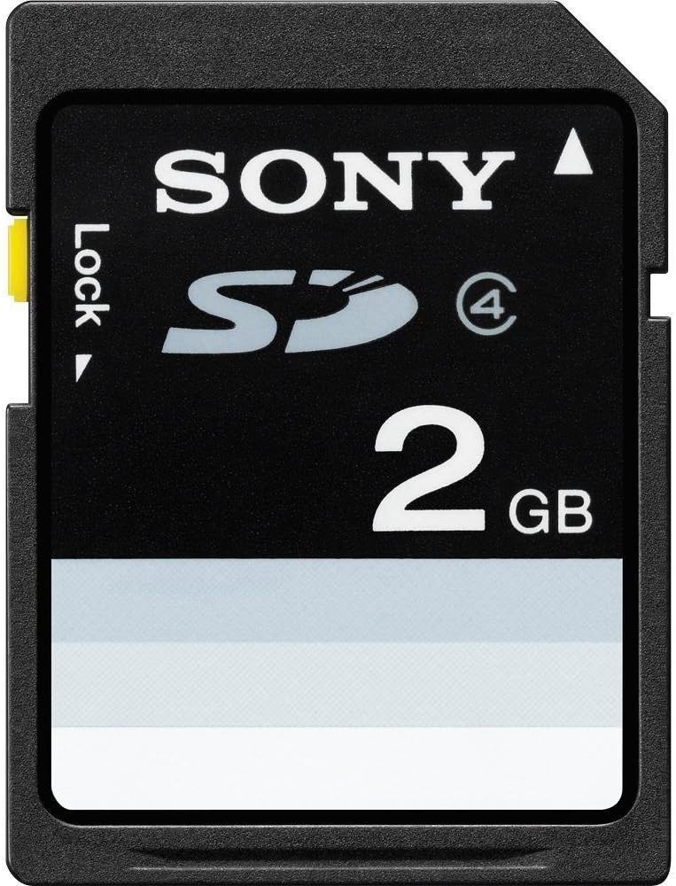 Sony 2 GB Flash Camera Memory Card SF2N1/TQ (Black)