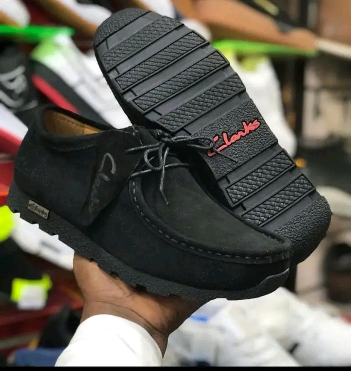 Men's Casual Clarks Shoe_Black&Brown