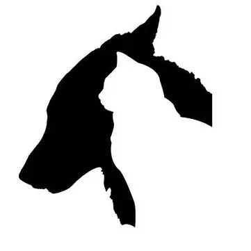 Bilklistermærke Hund og Kat Klistermærker Køretøj Lastbil Kofanger Vindue Væg Spejl Dekoration